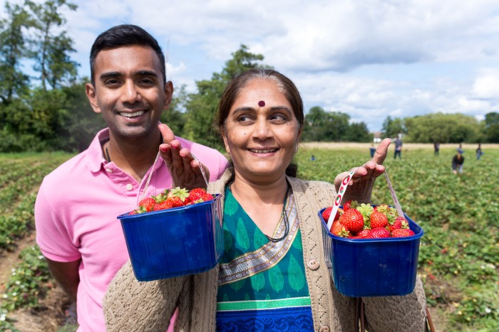 My husband and mother-in-law picking strawberries at Garsons Farm in Surrey Garsons PYO Farm in Surrey