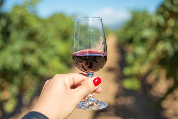 A glass of red wine surrounded by vines in a Rioja winery in Spain