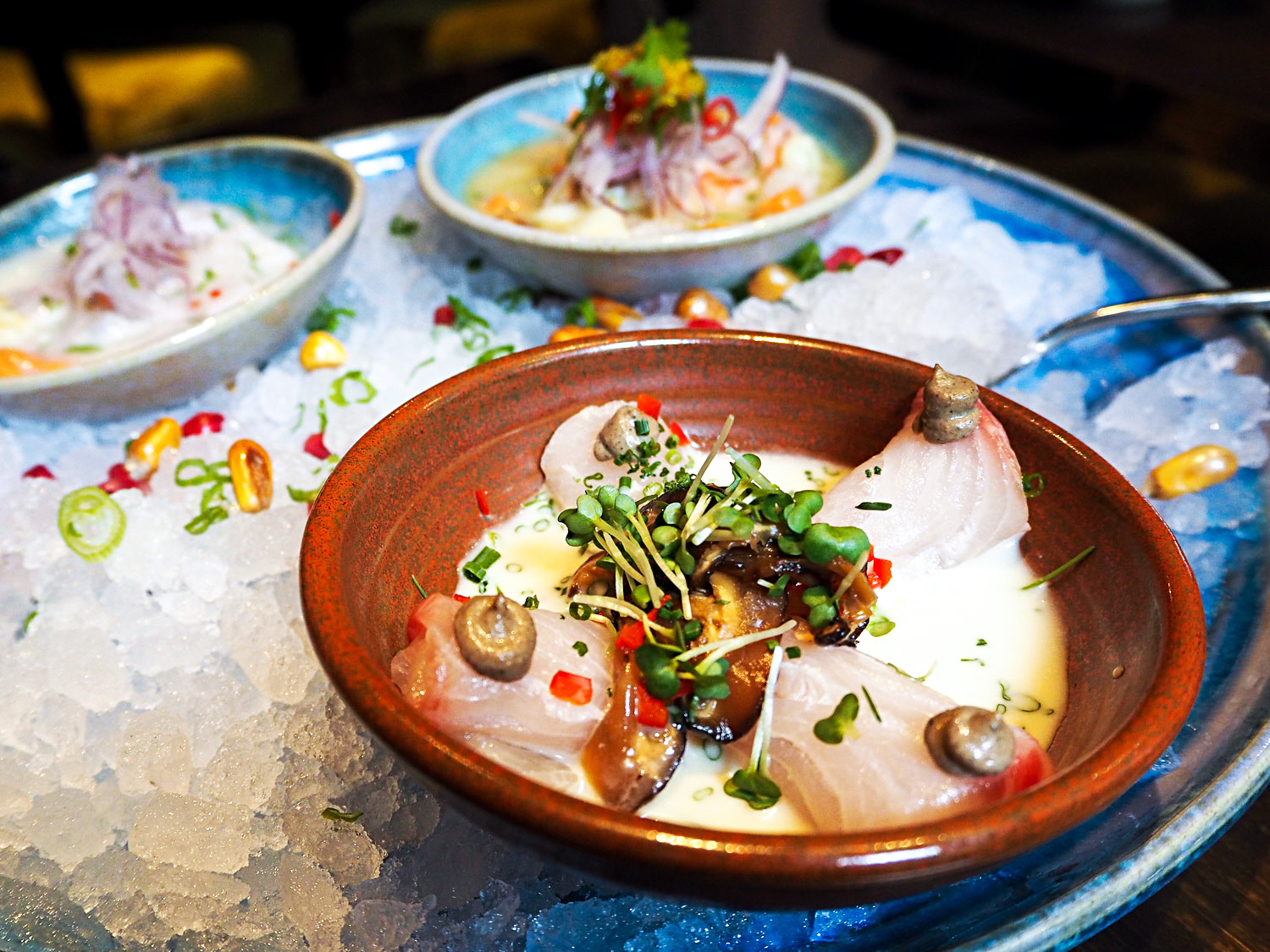 Ceviche dish at a Peruvian restaurant Ceviche dish at a Peruvian restaurant