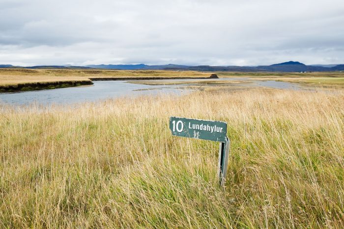A street sign on a field with a body of water in Iceland