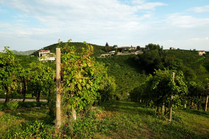 Valdobbiadene Prosecco region in Veneto, Italy Valdobbiadene Prosecco region in Veneto, Italy