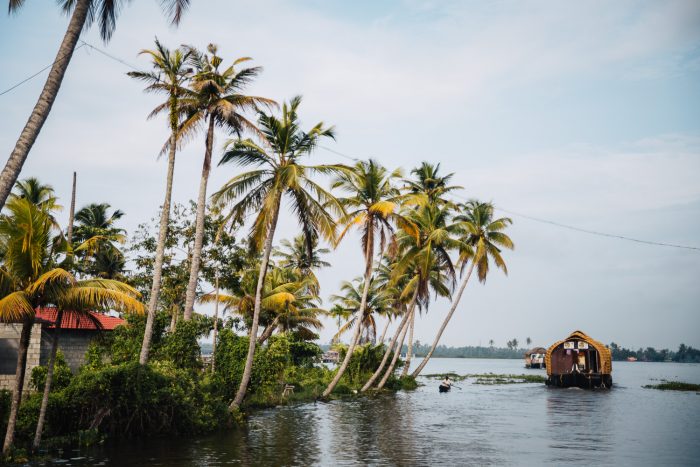 Cruising along the backwaters in Alleppey in Kerala | 5 Epic Things To Do in Kerala