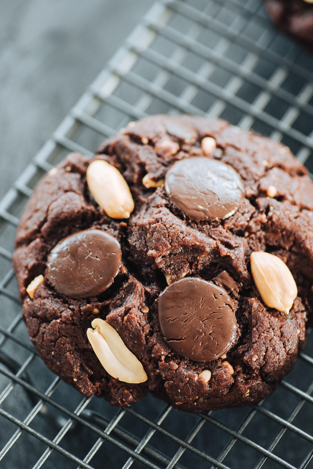 Dark Chocolate and Peanut Vegan Cookies Recipe | Mondomulia 