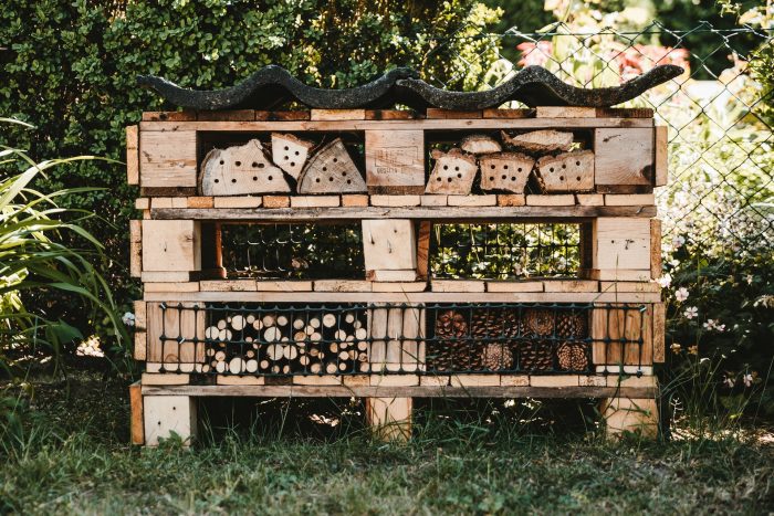A home for insects built from pallets and different natural materials
