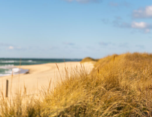 Sand dunes on a beach in Nantucket, MA, USA