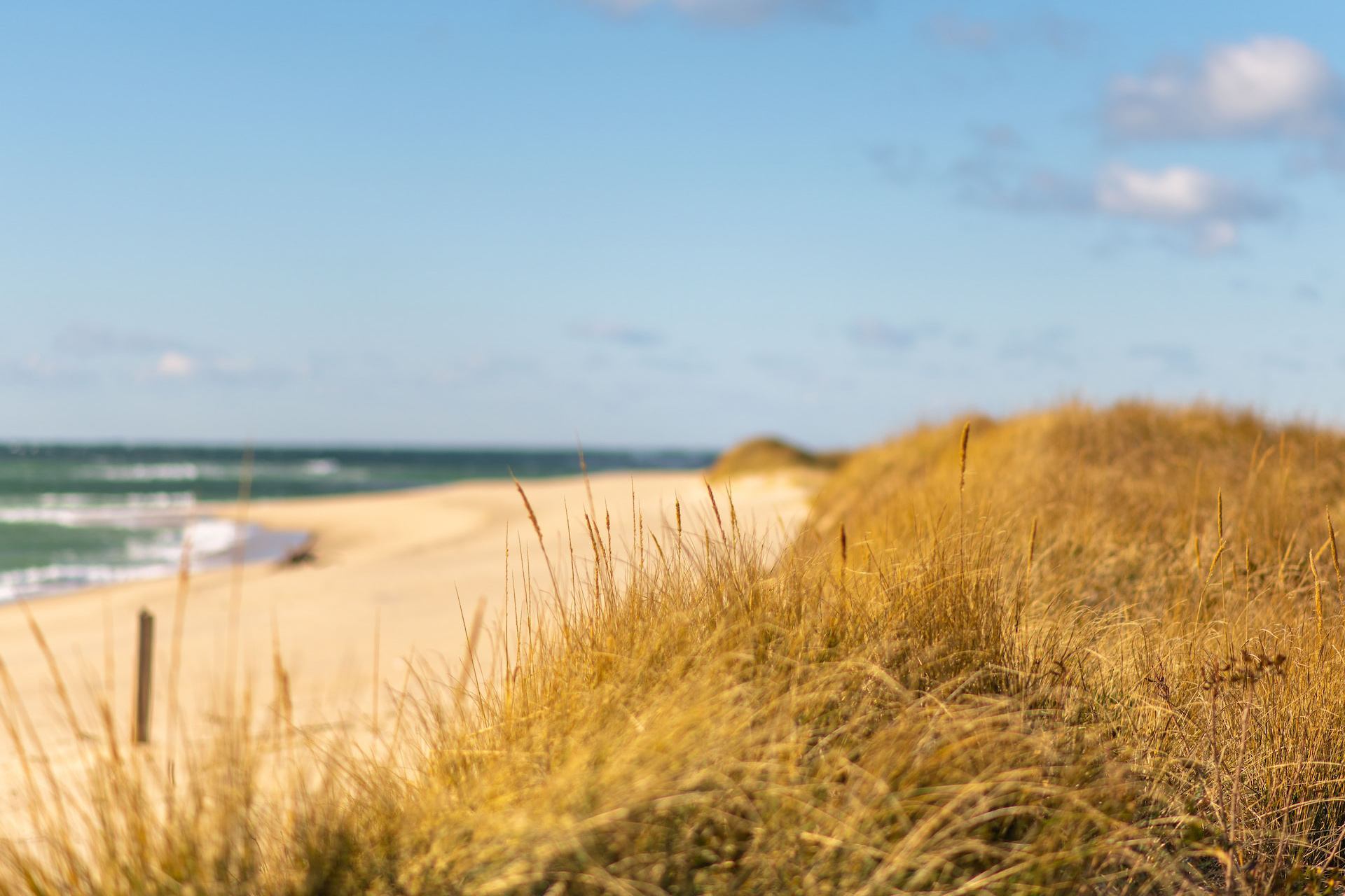 Sand dunes on a beach in Nantucket, MA, USA