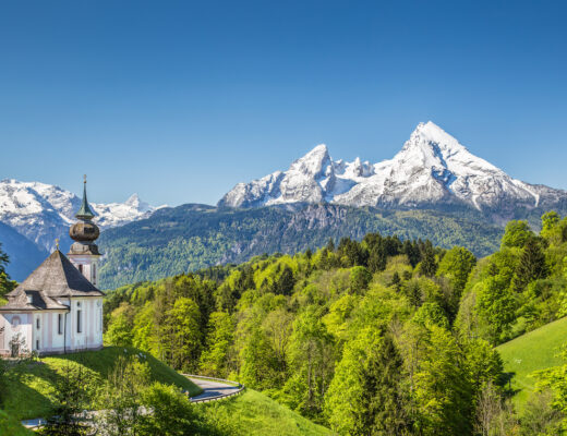green trees and Alps mountains with snow and a blue sky