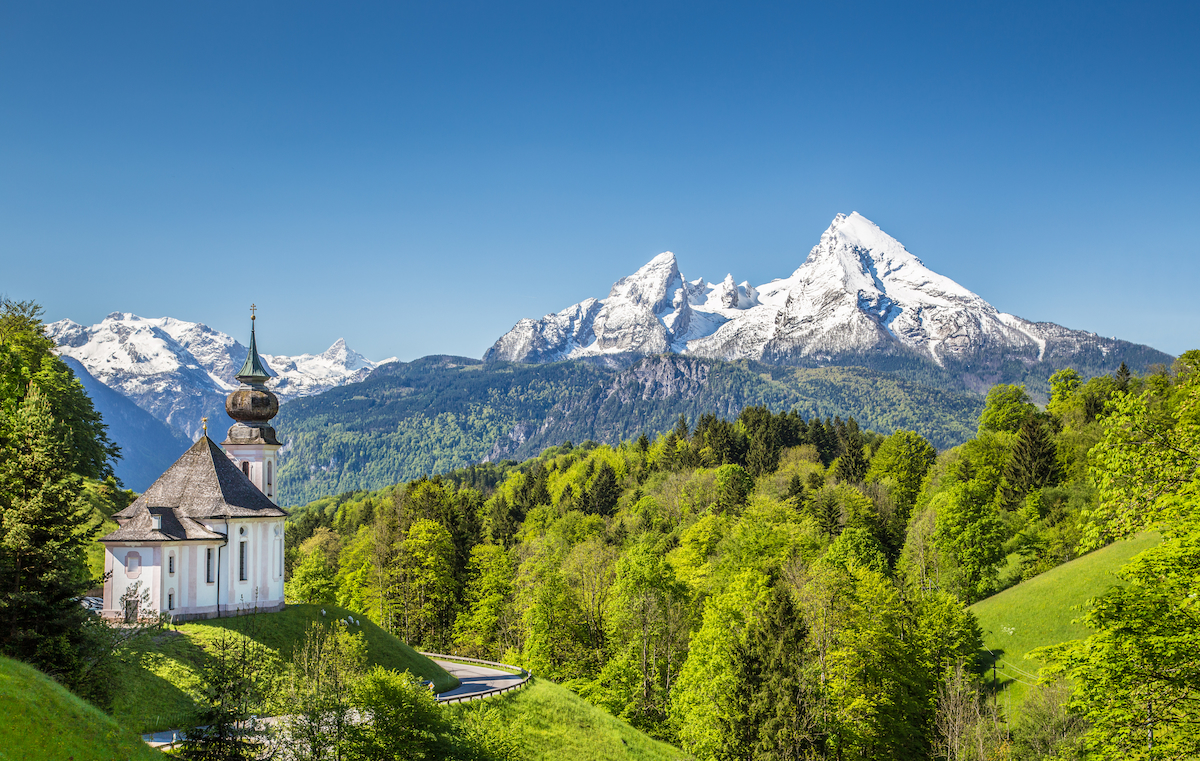 green trees and Alps mountains with snow and a blue sky