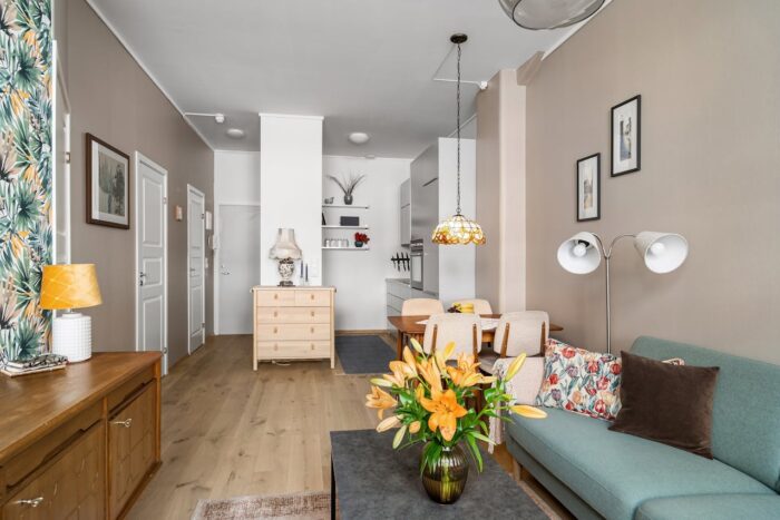 living room and small kitchen in a cozy apartment