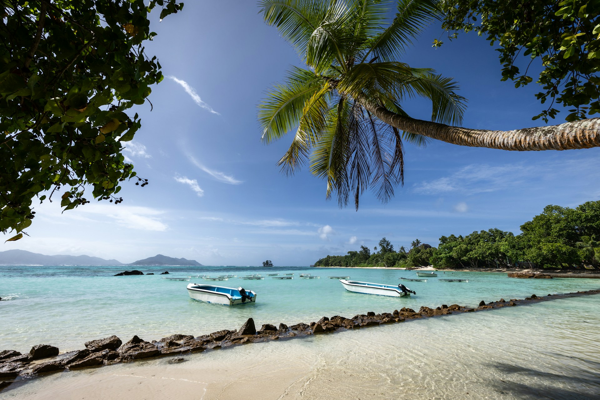 a sandy beach with boats and palm trees in the Seychelles island