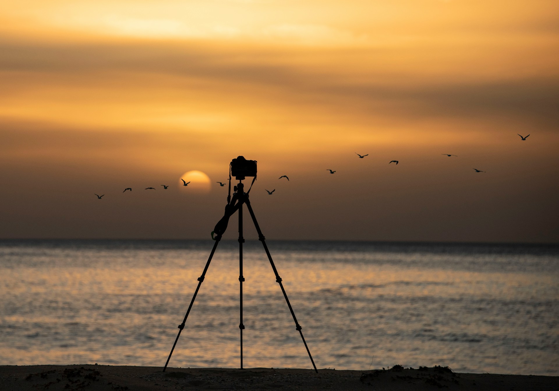 tripod with camera at sunset on a beach  