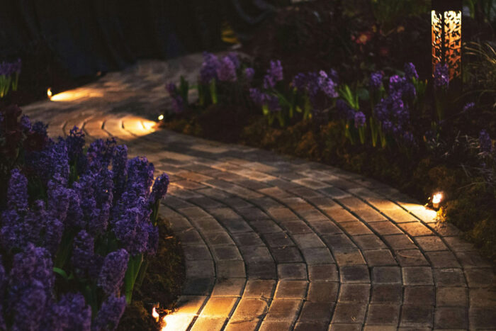 purple flowers on the side of stone garden path with lights