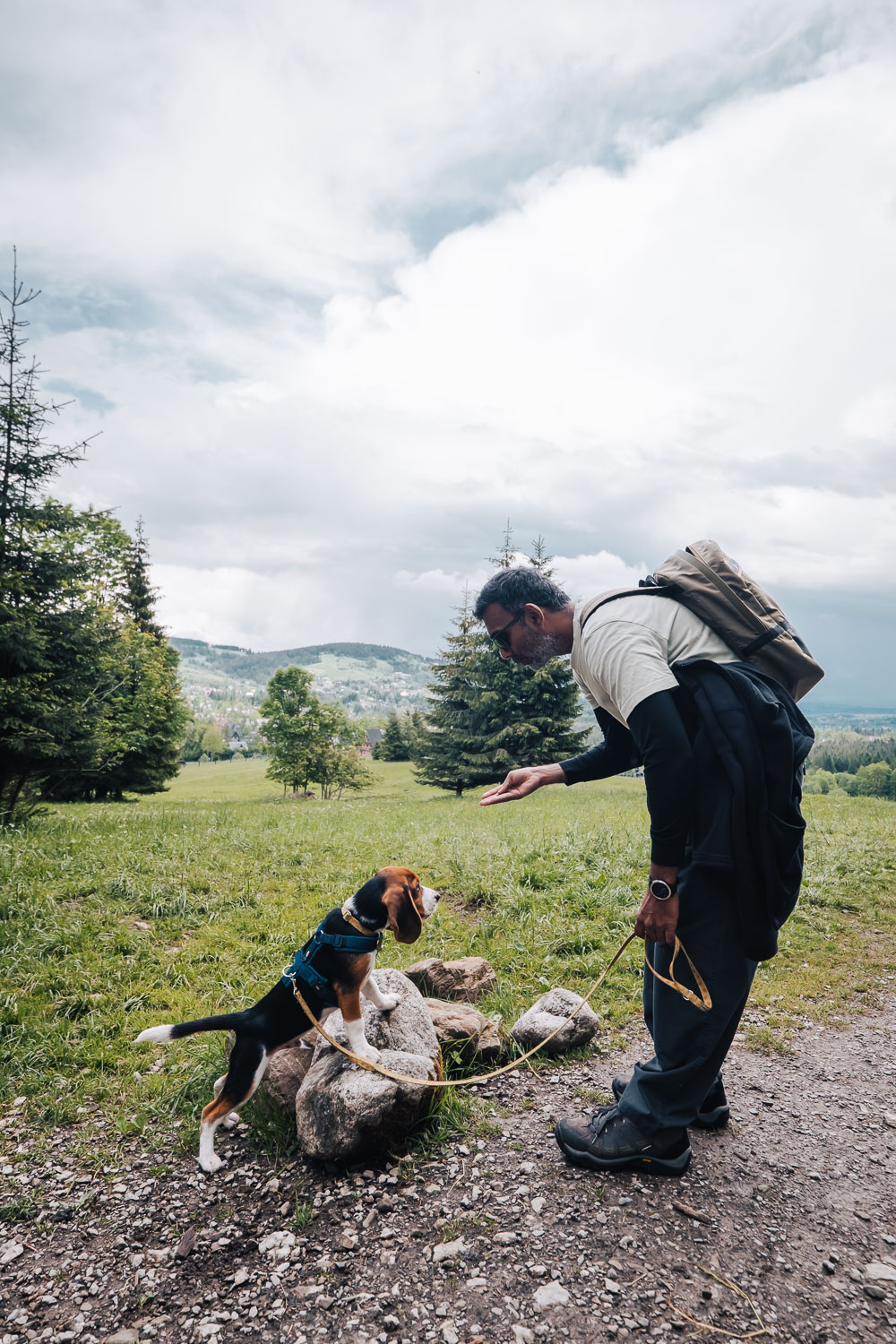 beagle puppy and a man on a walk on mountains in Zakopane Poland