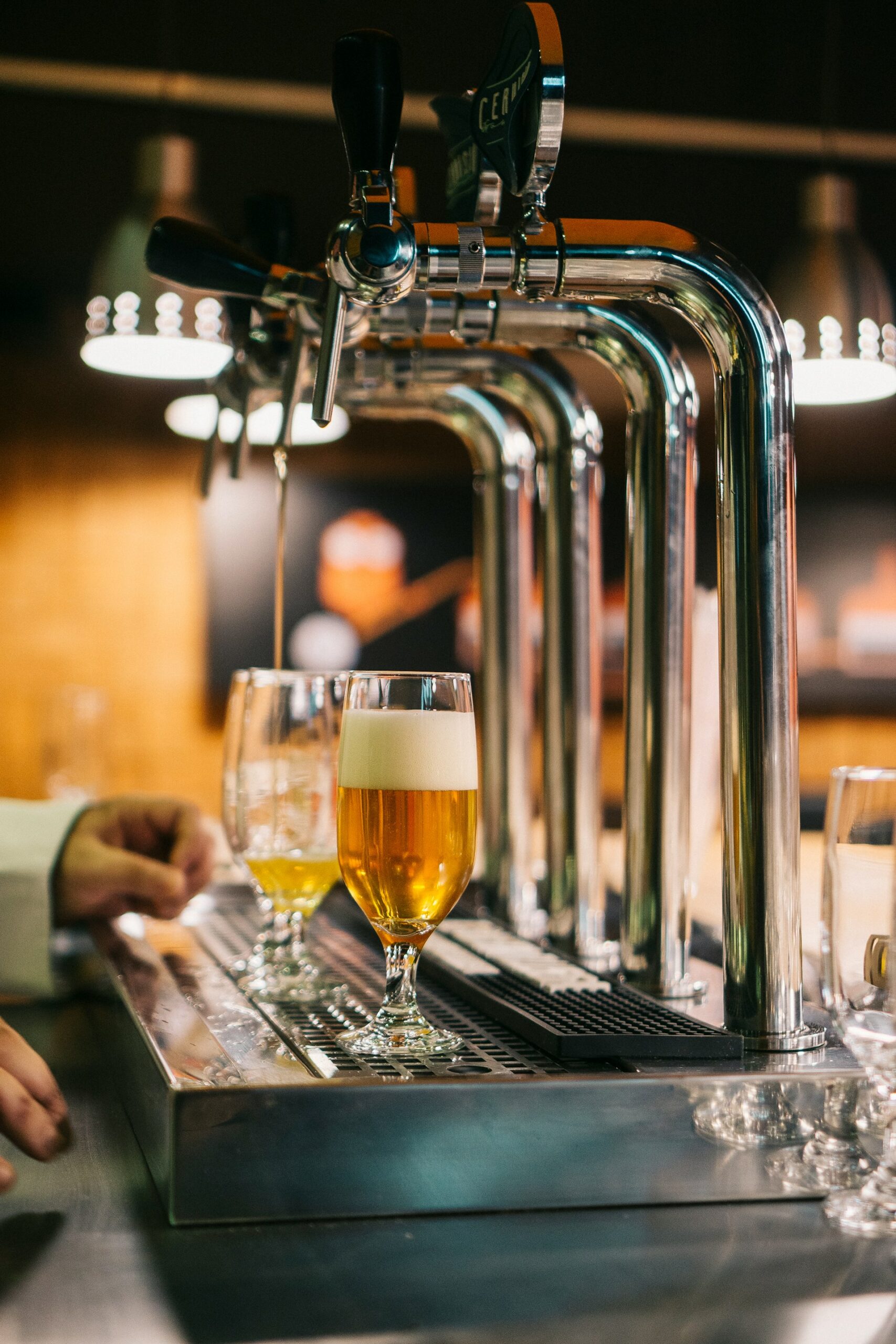 draft beers in a glass at a craft beer brewery draft beers in a glass at a craft beer brewery