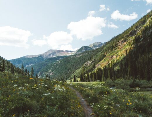 Green mountains and flowers at Crested Butte in Colorado